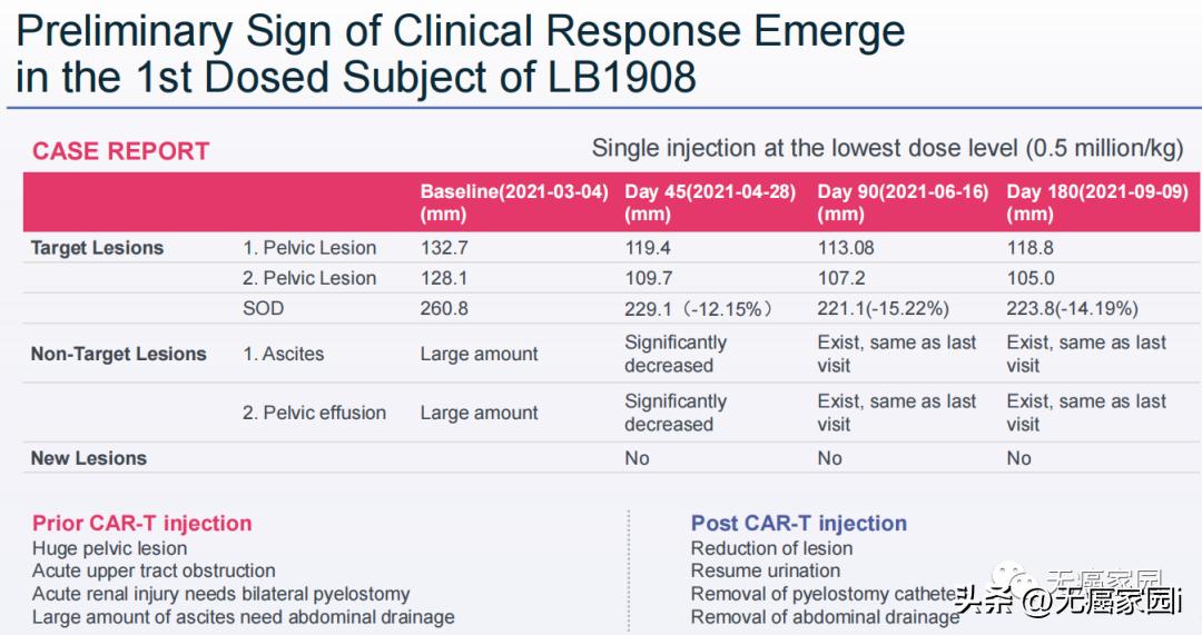 car-t治疗癌症成功案例,car-nk治疗成功率