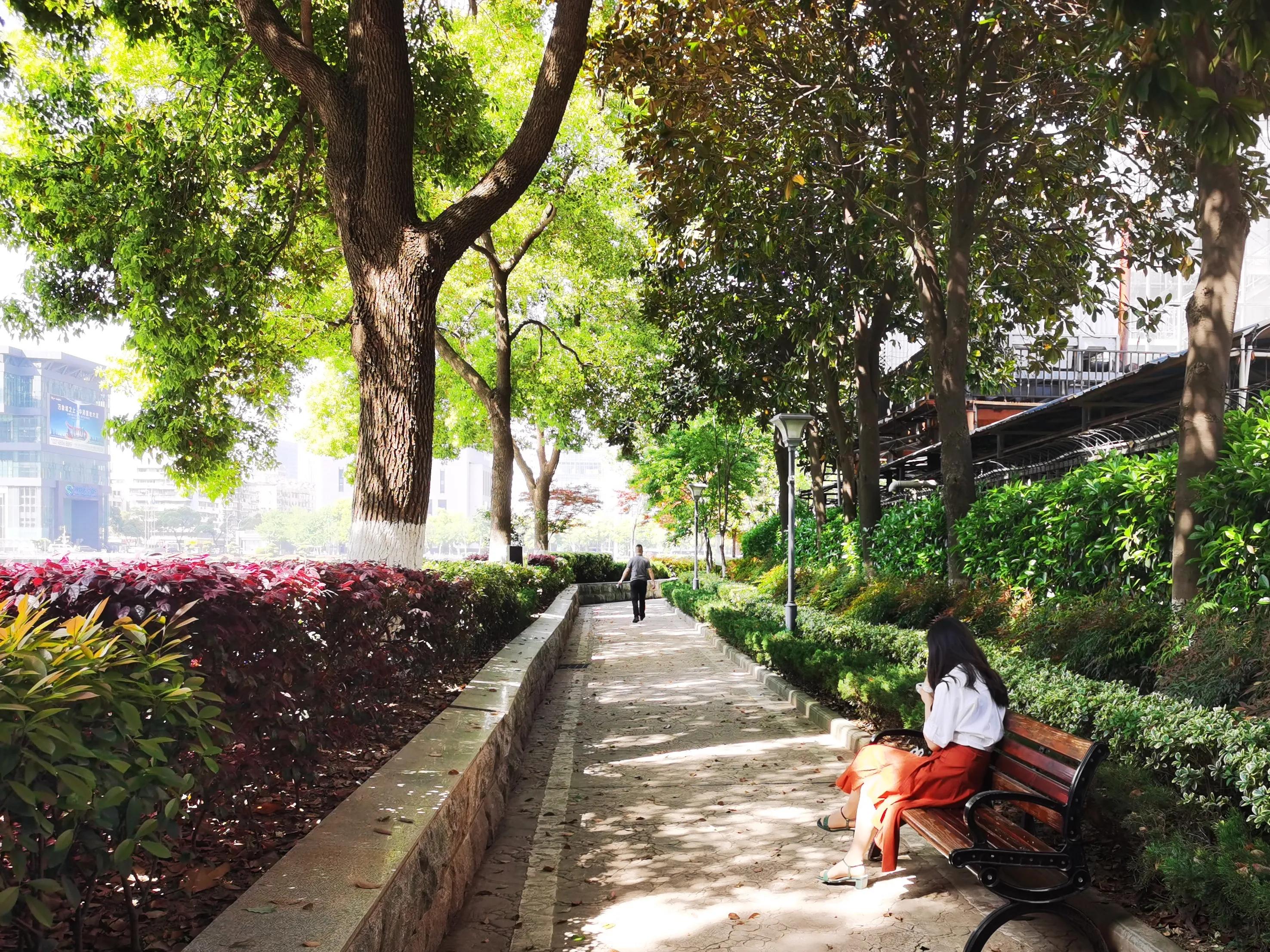 武汉的沉湖湿地公园,武汉最大喷泉