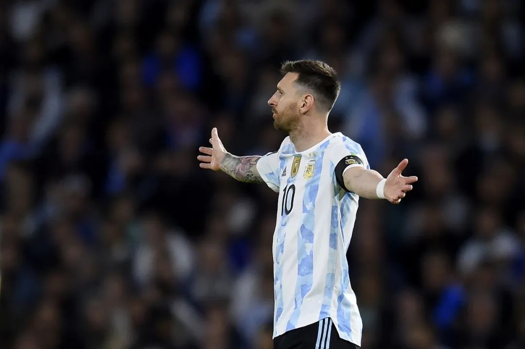 世界杯的草皮,世界杯的足球草地