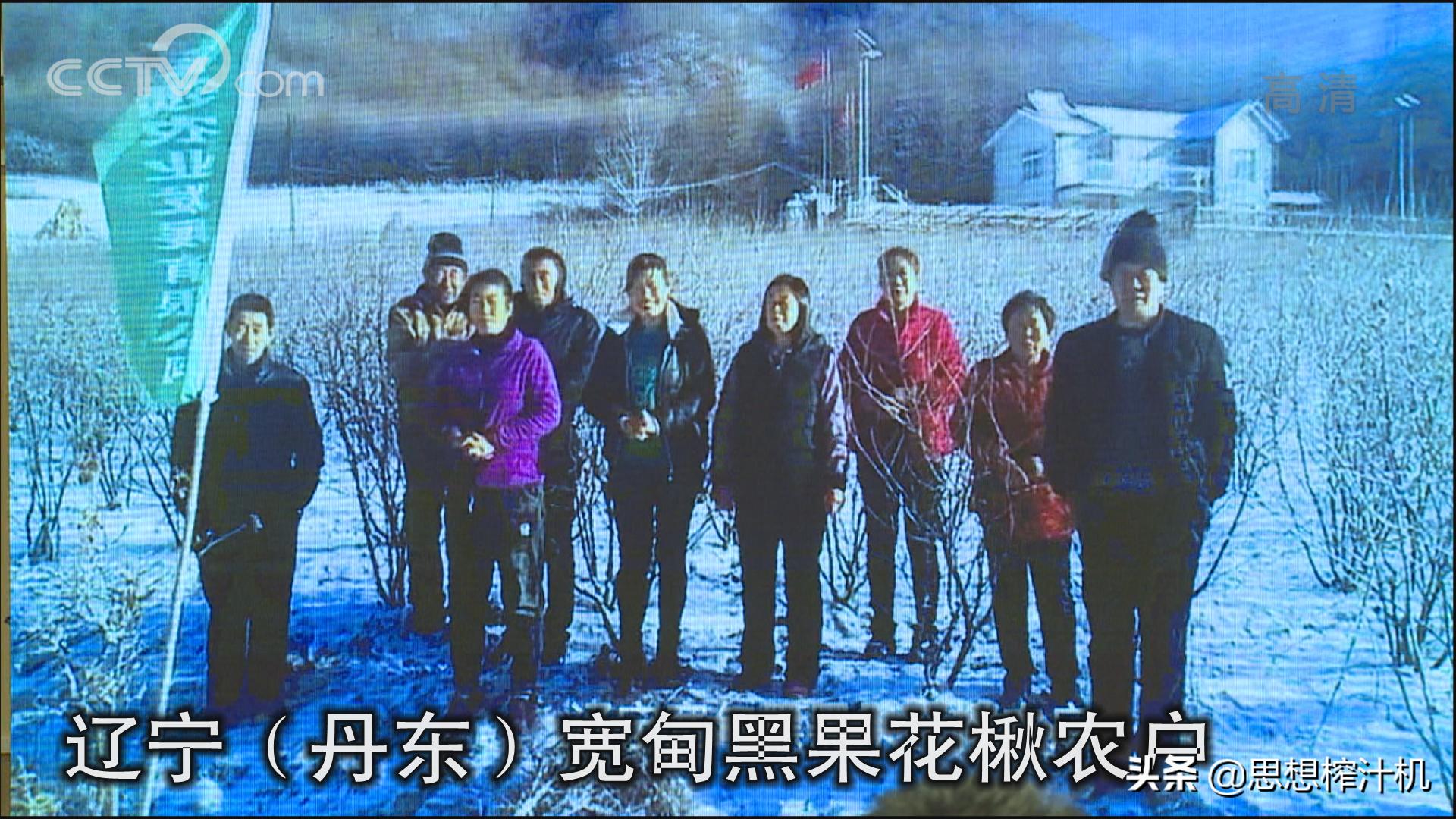 黑果花楸市场前景如何,辽宁黑果花楸苗基地