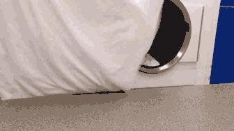 洗漱毛巾多久更换一次,纱布牙刷多久用一次