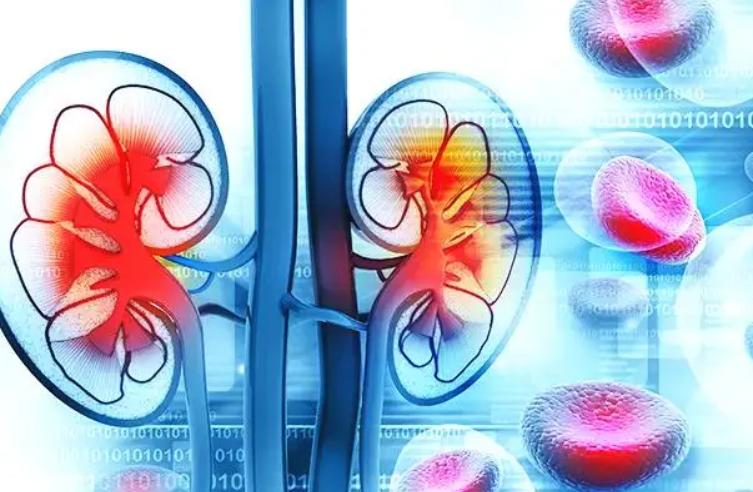 夜里起夜频繁是否肾有问题,经常起夜会不会肾衰竭