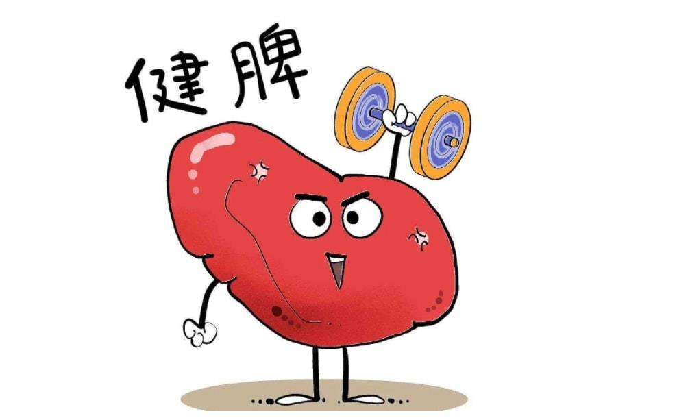 补脾补肾小妙方,补肾补脾食疗方法