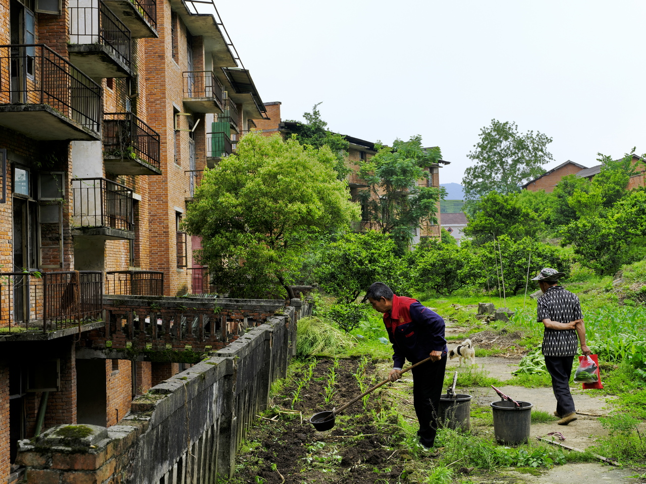 宜都717三线工厂,宜都717厂历史