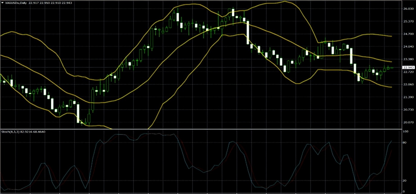 第一金贵金属,第一金2022比赛回放
