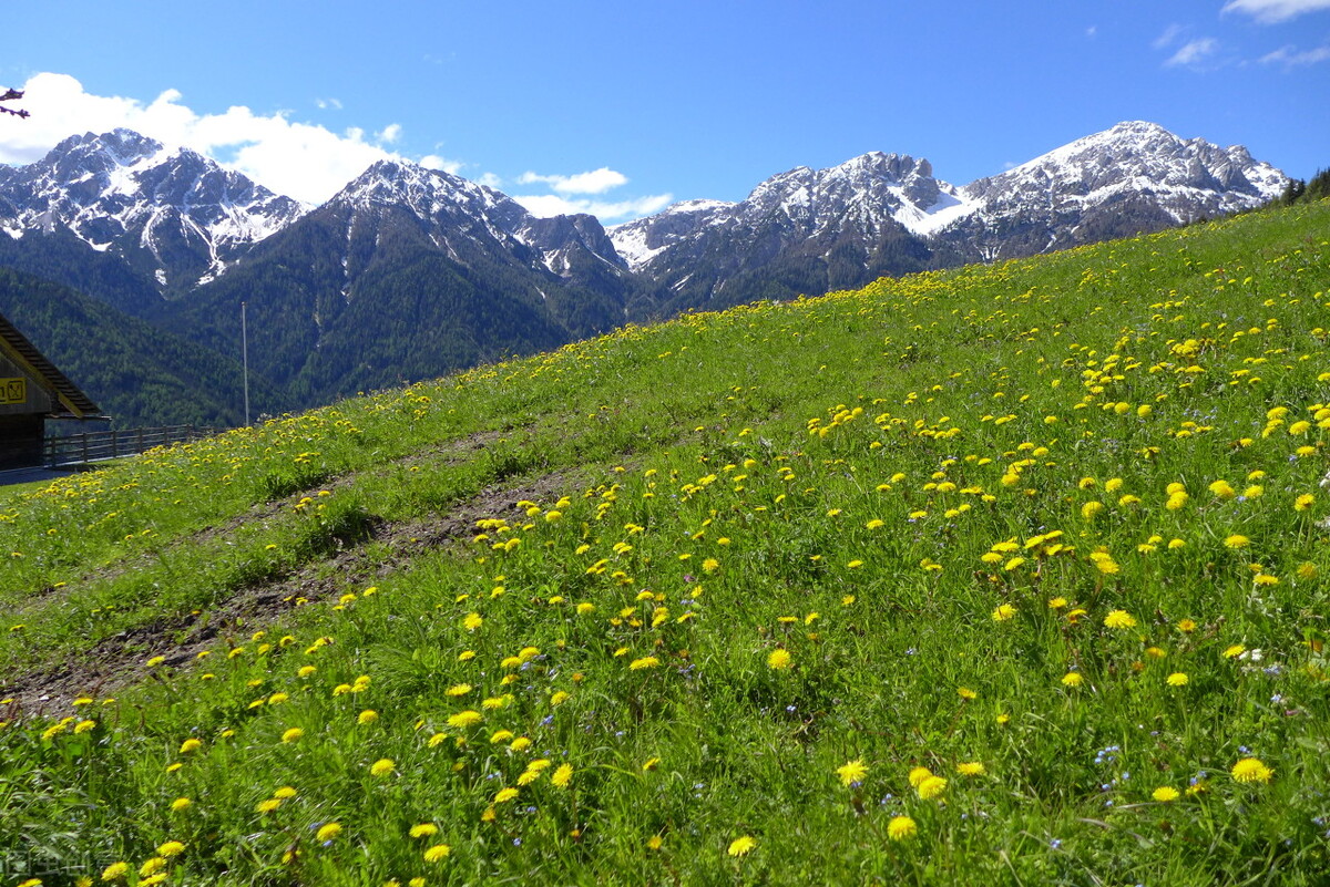 高中英语教学中的中西方文化,高中英语教学中国传统文化探究