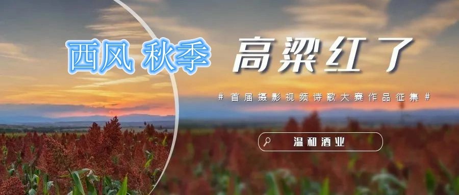 如何判断酒的优和劣,关于酒的三个常识