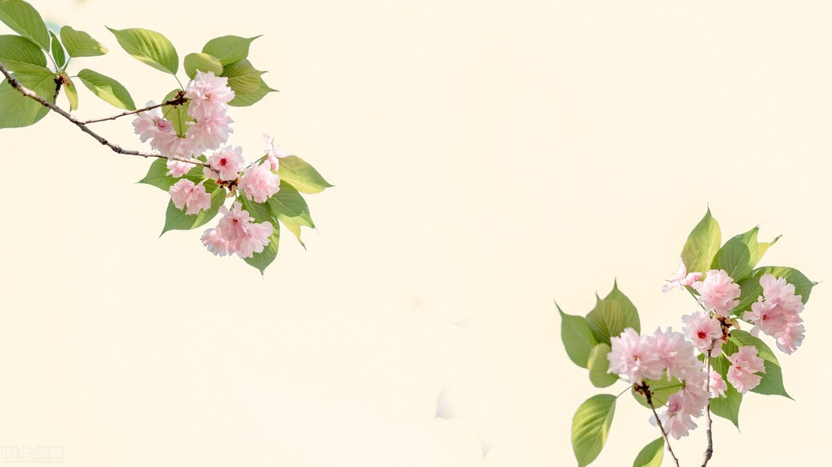 商业大佬的创业故事，你值得学习！（一）