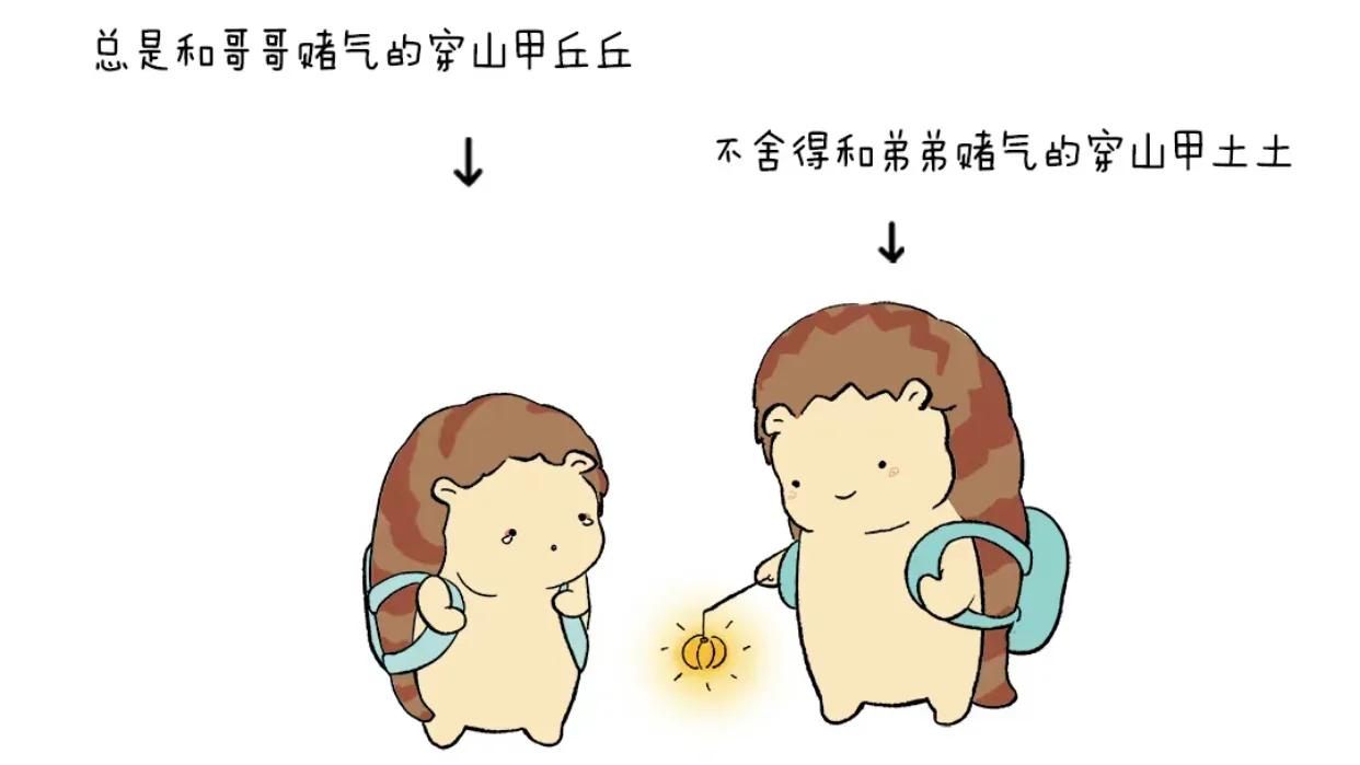 好看的娱乐圈搞笑文推荐,最新好看的娱乐圈甜文