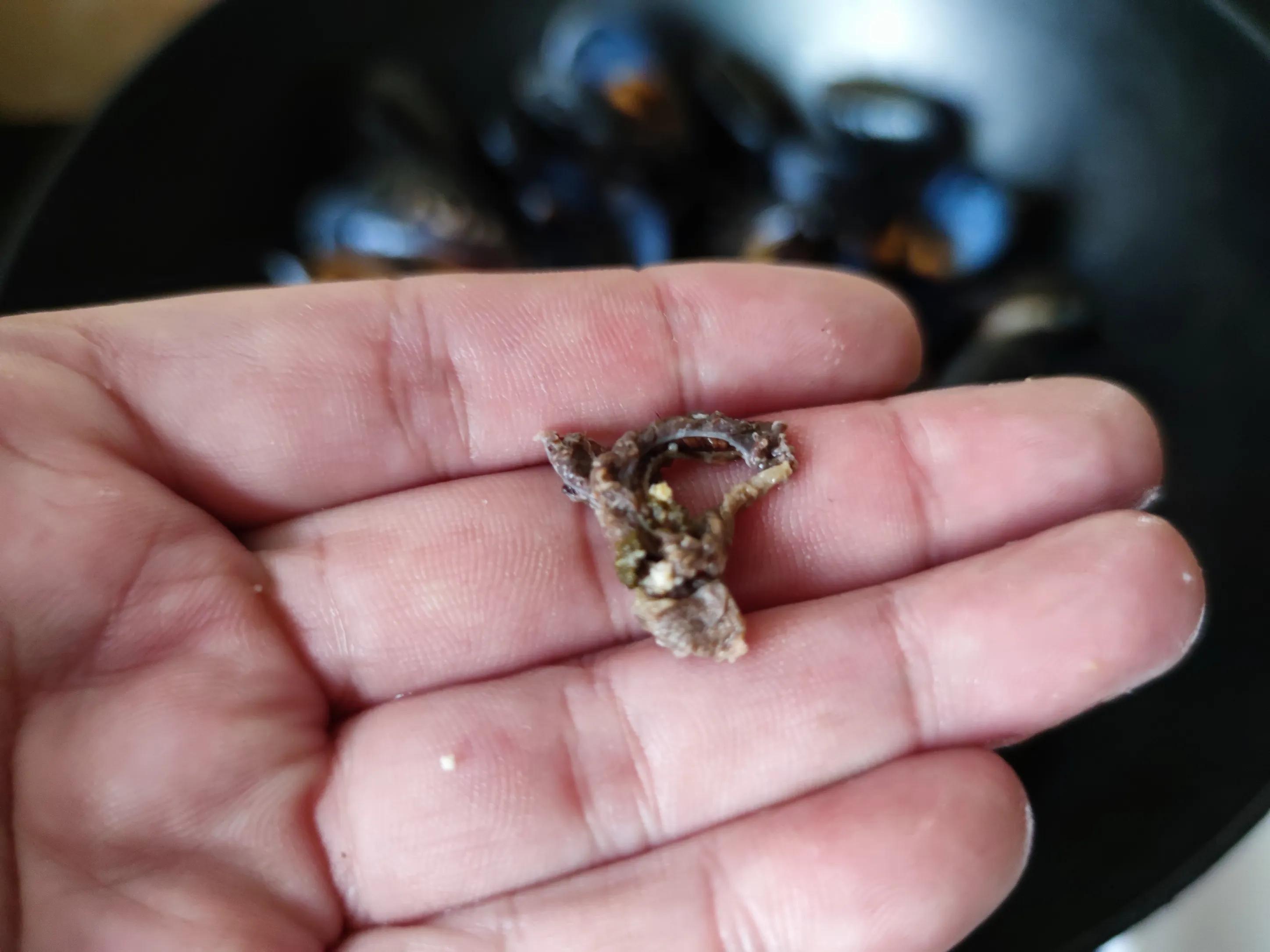 初春吃什么海鲜好吃,立春后吃什么海鲜最肥美