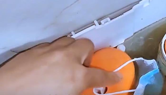 香皂能去除小飞虫吗,把香皂扔进马桶里