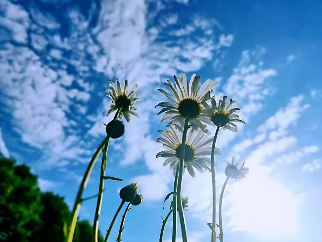 必去的花溪公园,假期余额不足游玩依旧火热