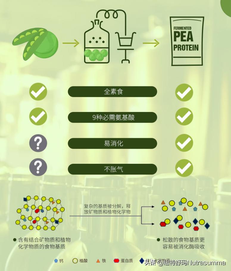 植物基蛋白,植物基蛋白的前景