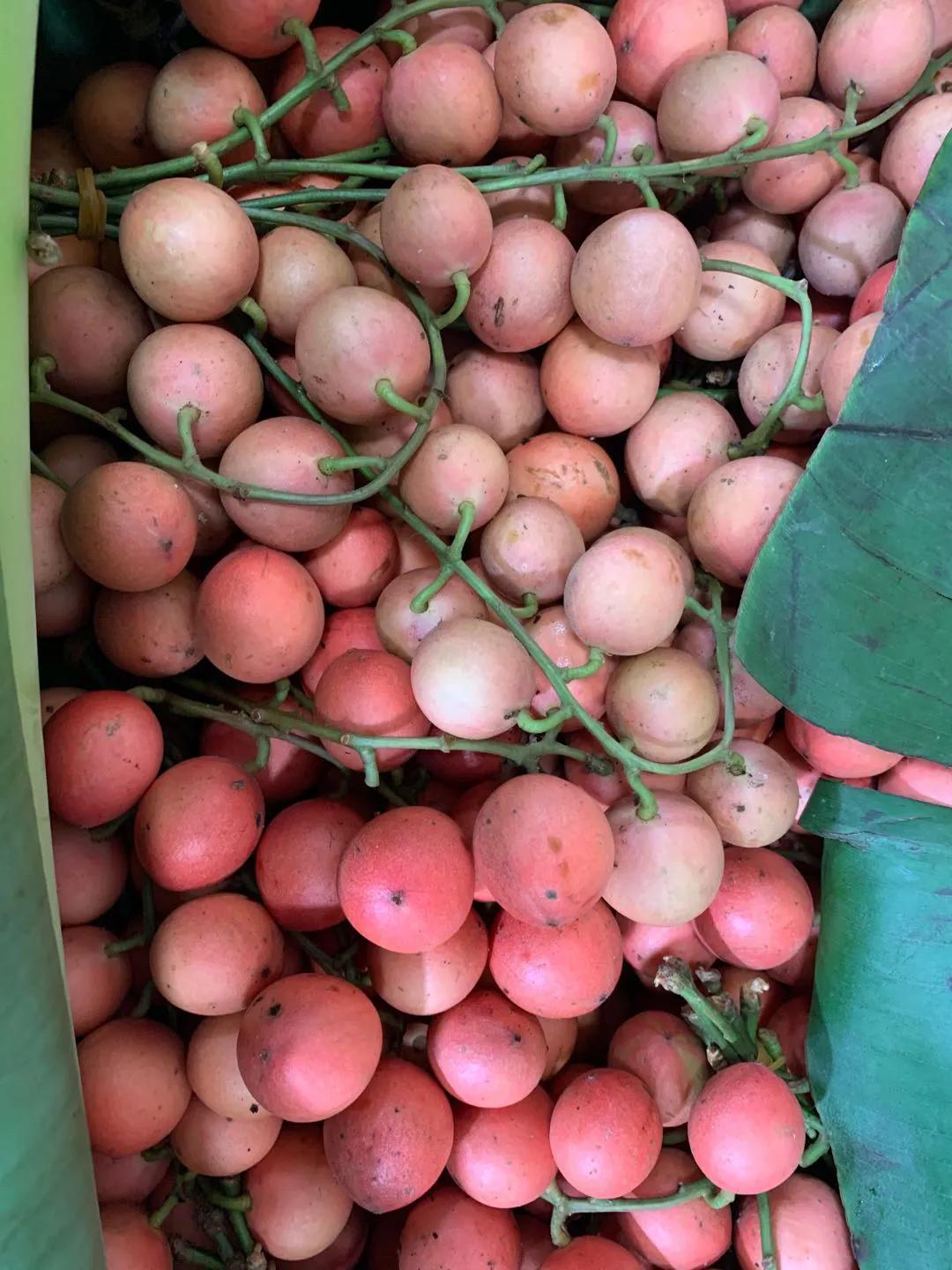 100多种罕见水果欣赏,100种罕见水果名字