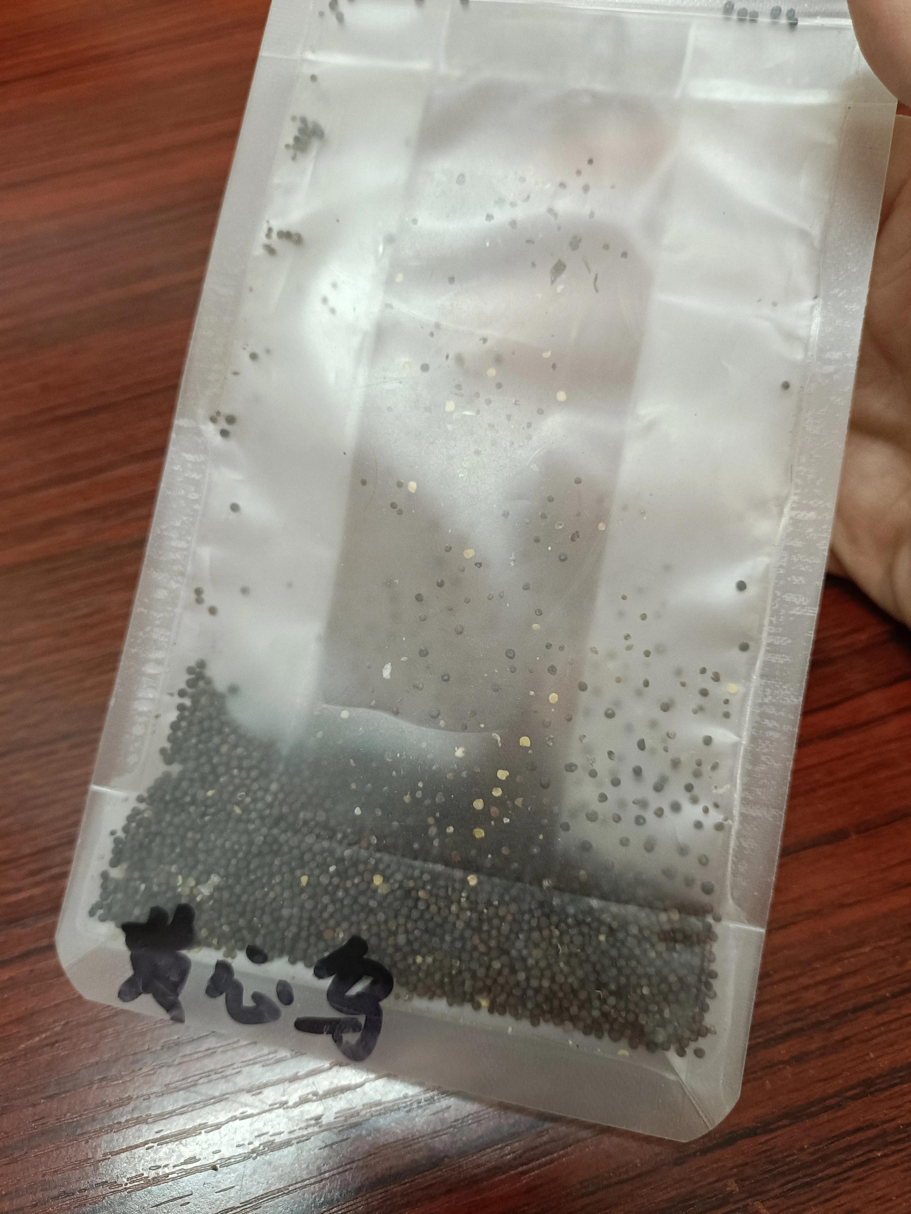 菜地菜种子怎么种,买的蔬菜种子第二年如何留种