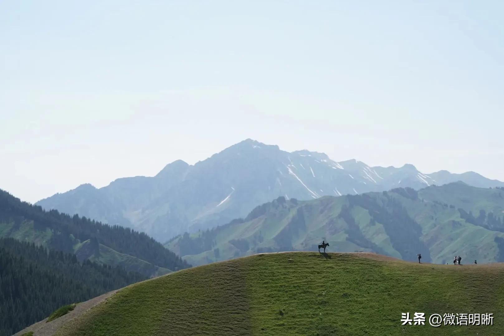 【微语明晰（1102）】EPC全咨实务之一