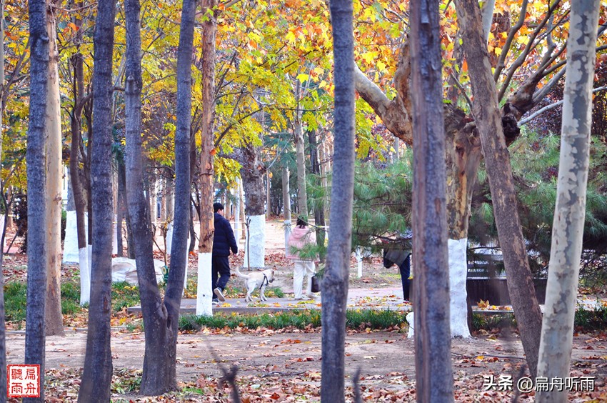 7月郑州凉快遛娃公园排行榜,郑州龙子湖避暑遛娃的地方