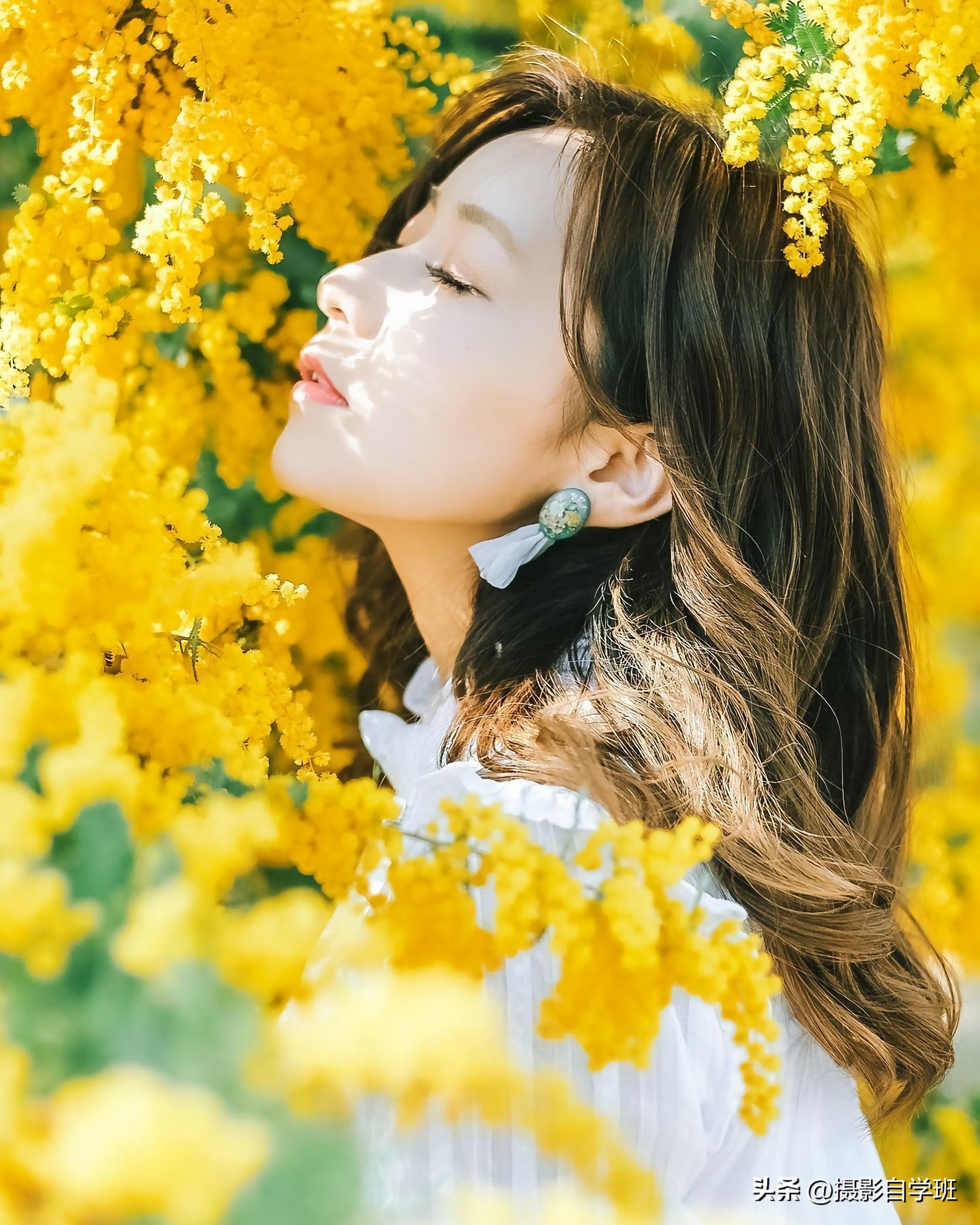 十大风景摄影技巧图片,摄影图片风景怎么拍好看