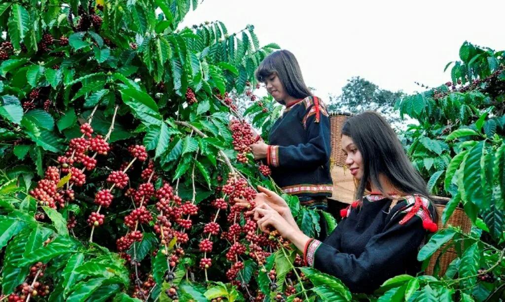 商业数据分析需要的基础知识,数据分析与商业实战