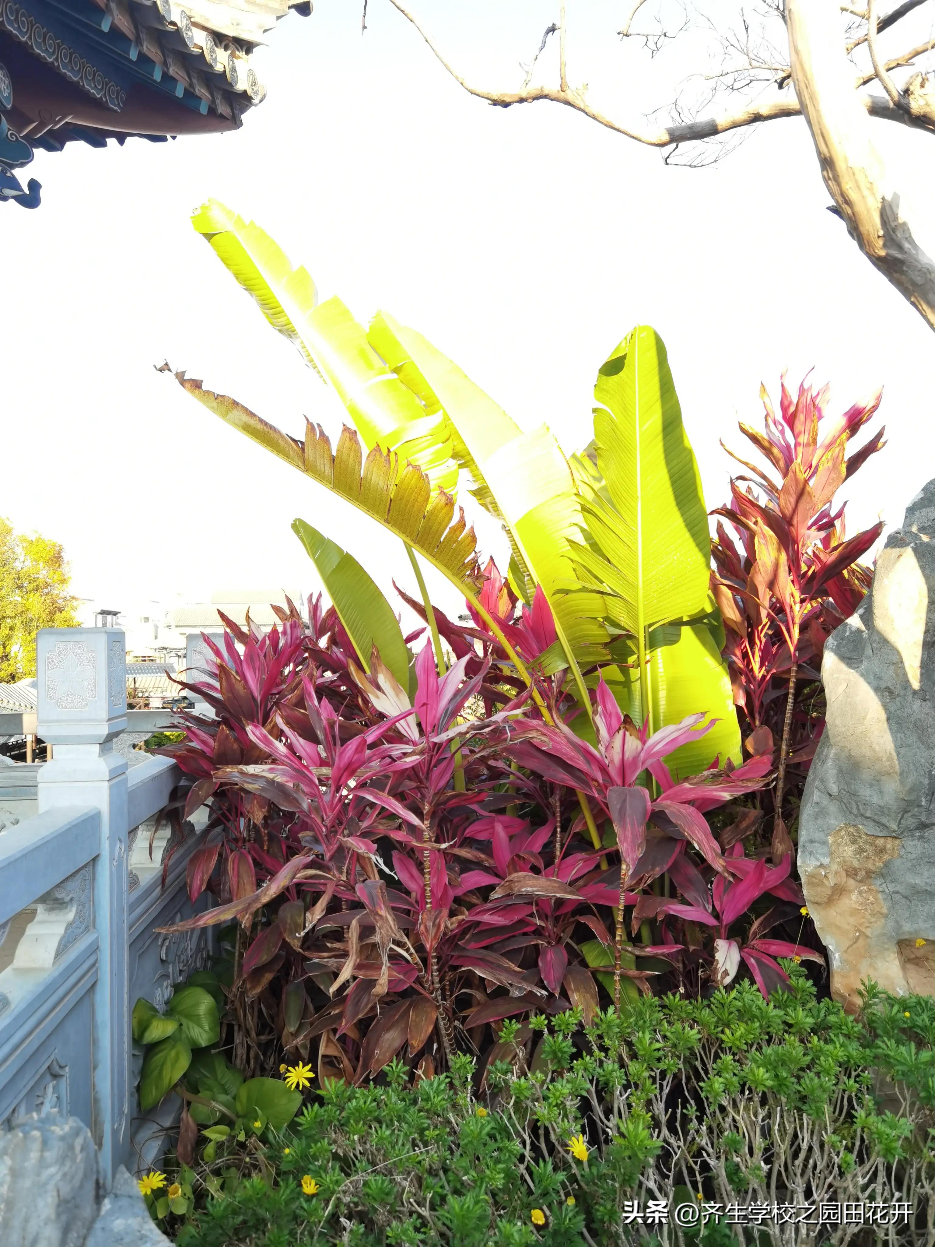 涨知识园林景观设计风格欣赏,园林景观设计的造景手法