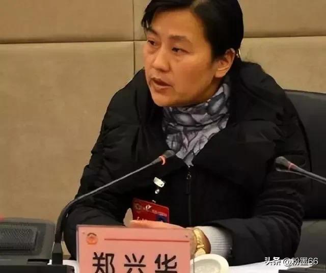 狂飙高启强与赵市长片段后续,湖北反腐最新公示潘启胜