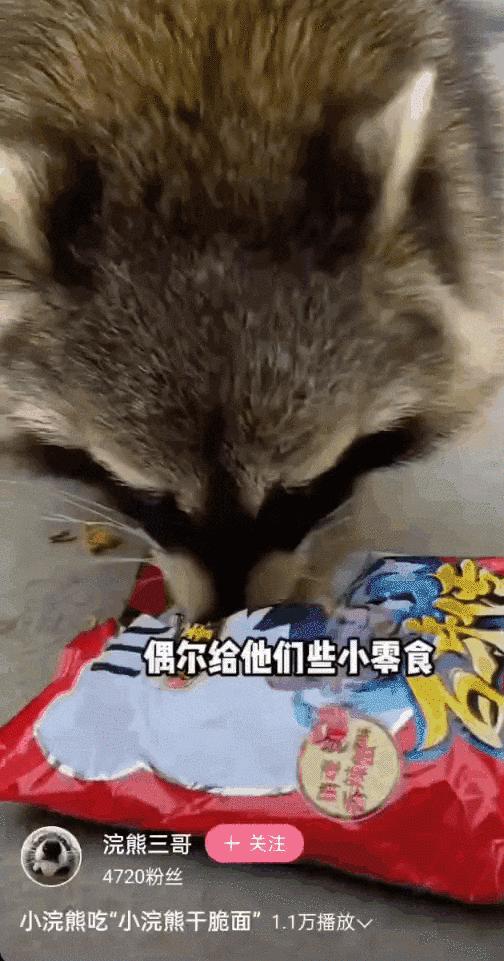 毁童年!干脆面上印的竟然不是小浣熊?