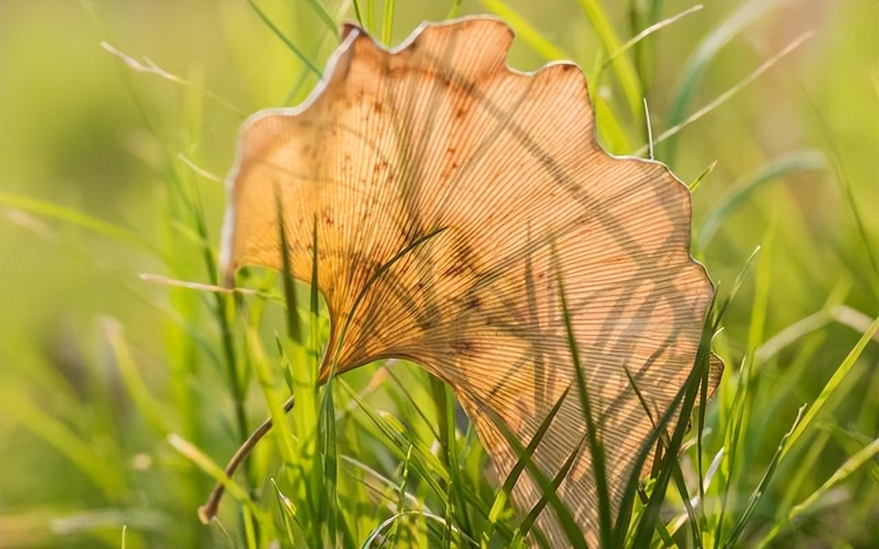 和朋友闹矛盾了怎么和解,跟朋友闹矛盾怎么和解