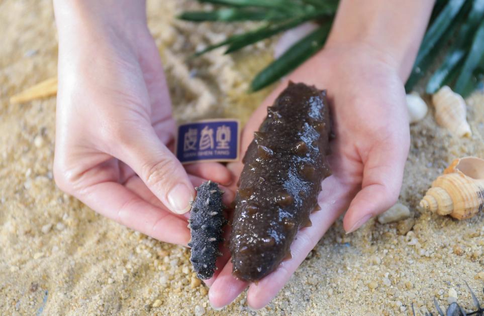 冬季进补如何吃海参,冬季进补海参怎么吃效果好