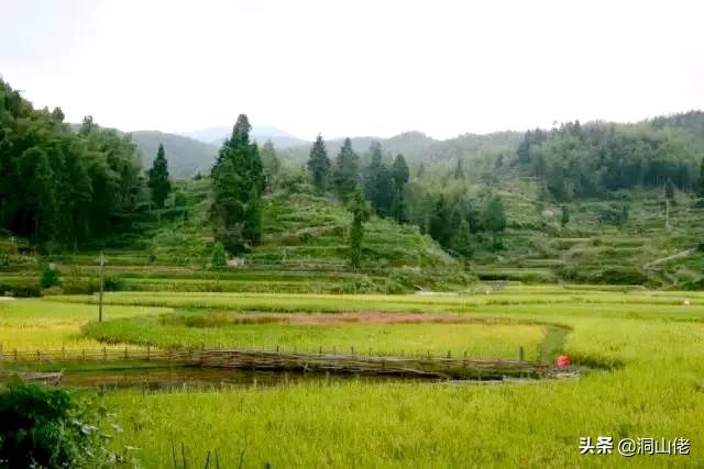 人贪三样一生白忙是哪三句话,人贪三样一生白忙有什么深意