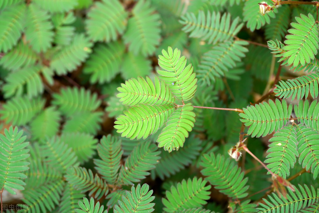 有言有味的下一句,有言有味是什么