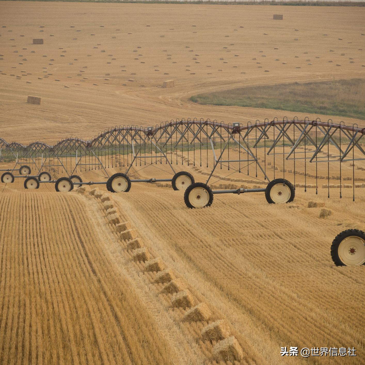 美国农业面临的问题有哪些,美国农业生产存在的问题