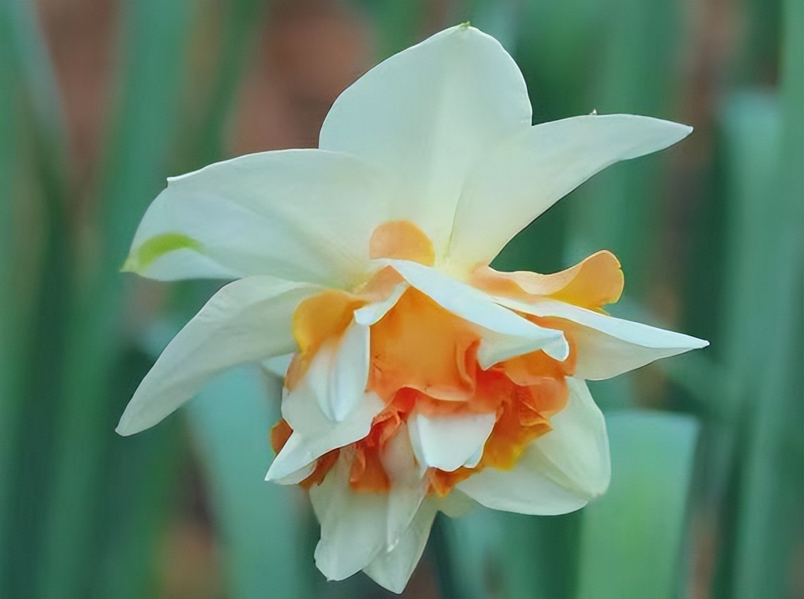 婚姻里什么才是女人的终极安全感,女人怎么样才能在婚姻里有安全感