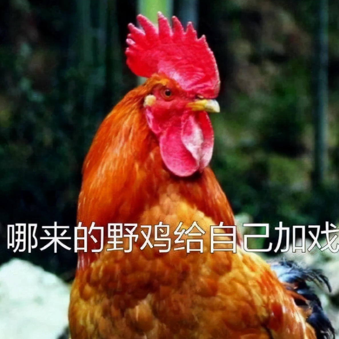 一周游戏吃瓜合集,一周游戏盘点