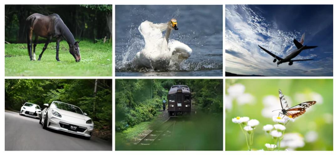 尼康z5佳能rp索尼a73对比,佳能r5尼康z72索尼a7r4哪个画质好