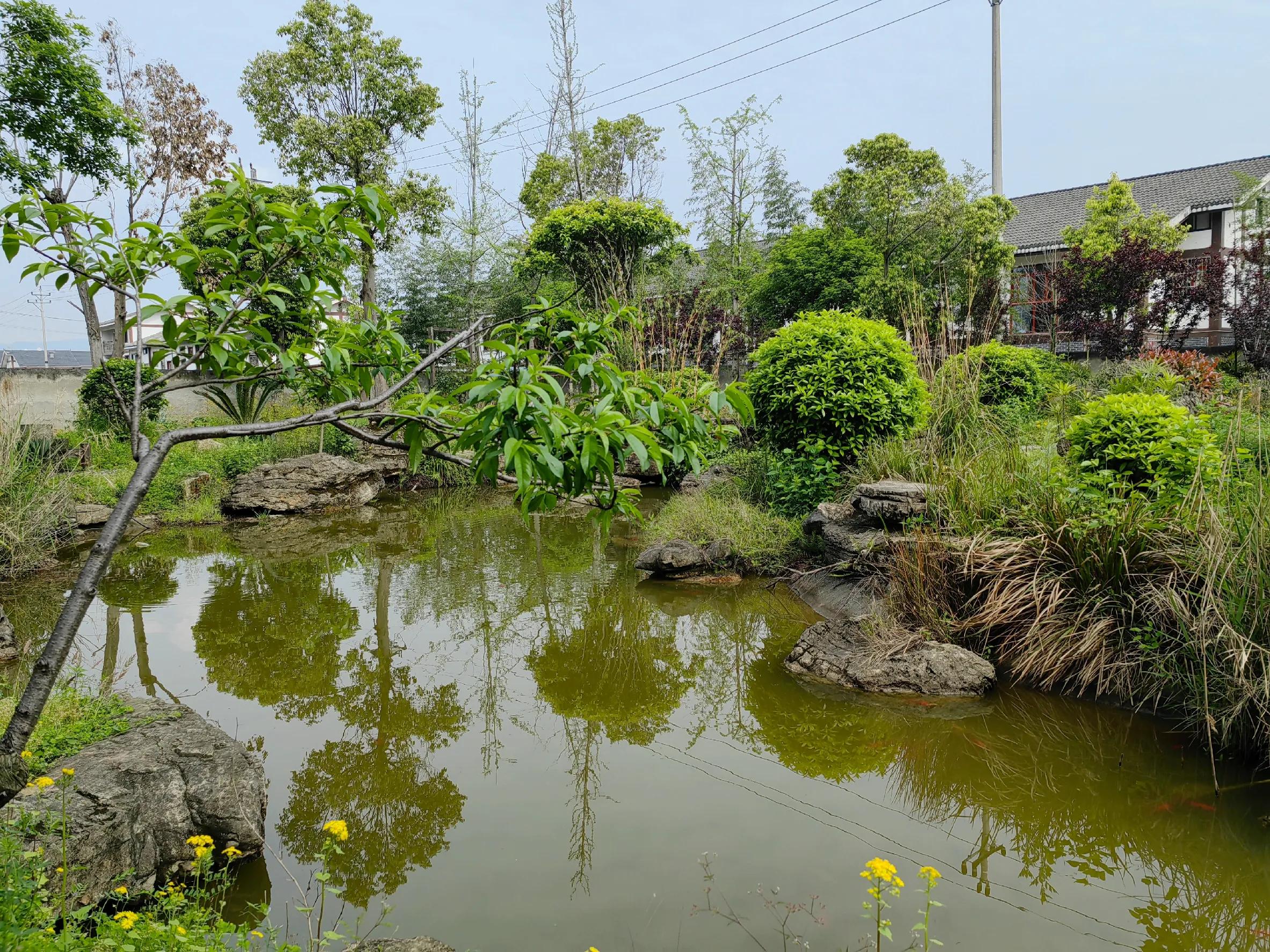 老年人怎么坐高铁用老年机,老年人怎么坐高铁买票