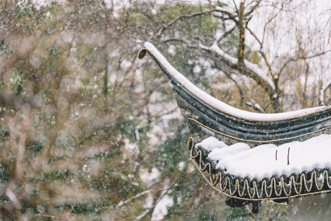 下雪适合拍什么大片,下雪到雪里面拍照片怎么拍最好看