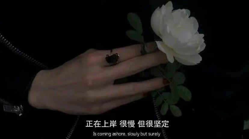 情绪郁结文案,熬过心情再熬生活的文案