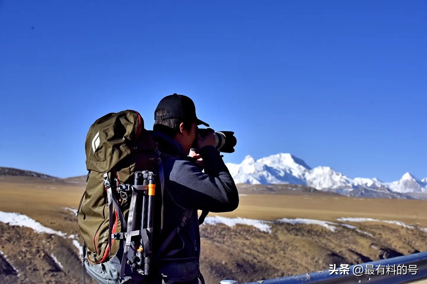 视觉中国摄影作品解读,视觉中国静物