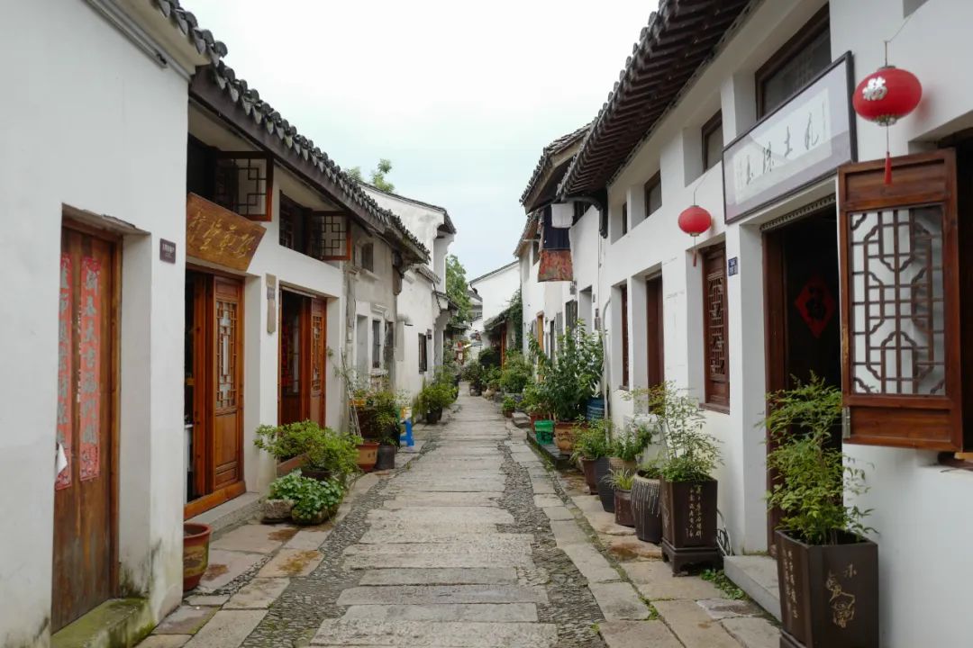 我去竹林避暑了，夏天过完再通知我！