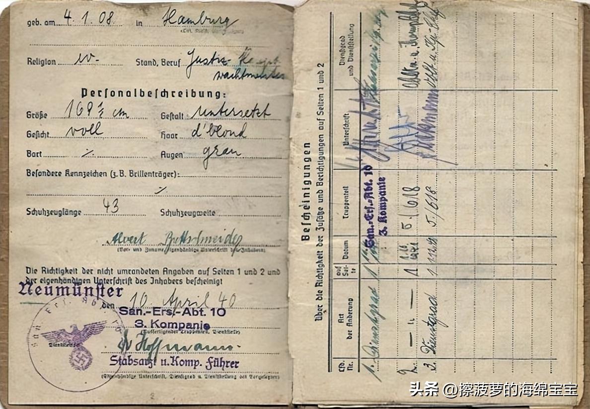 二战时德国军人的肩章,二战德国兵种领章