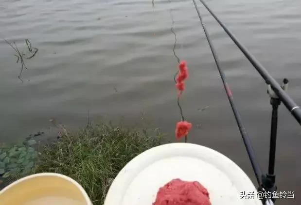 钓鱼禁止超过几个钩,禁止双钩钓鱼原因有哪些