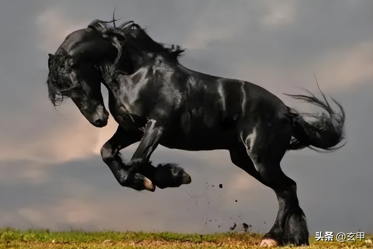 治平王荣之嫡系庸才成就美篇《祭战马文》