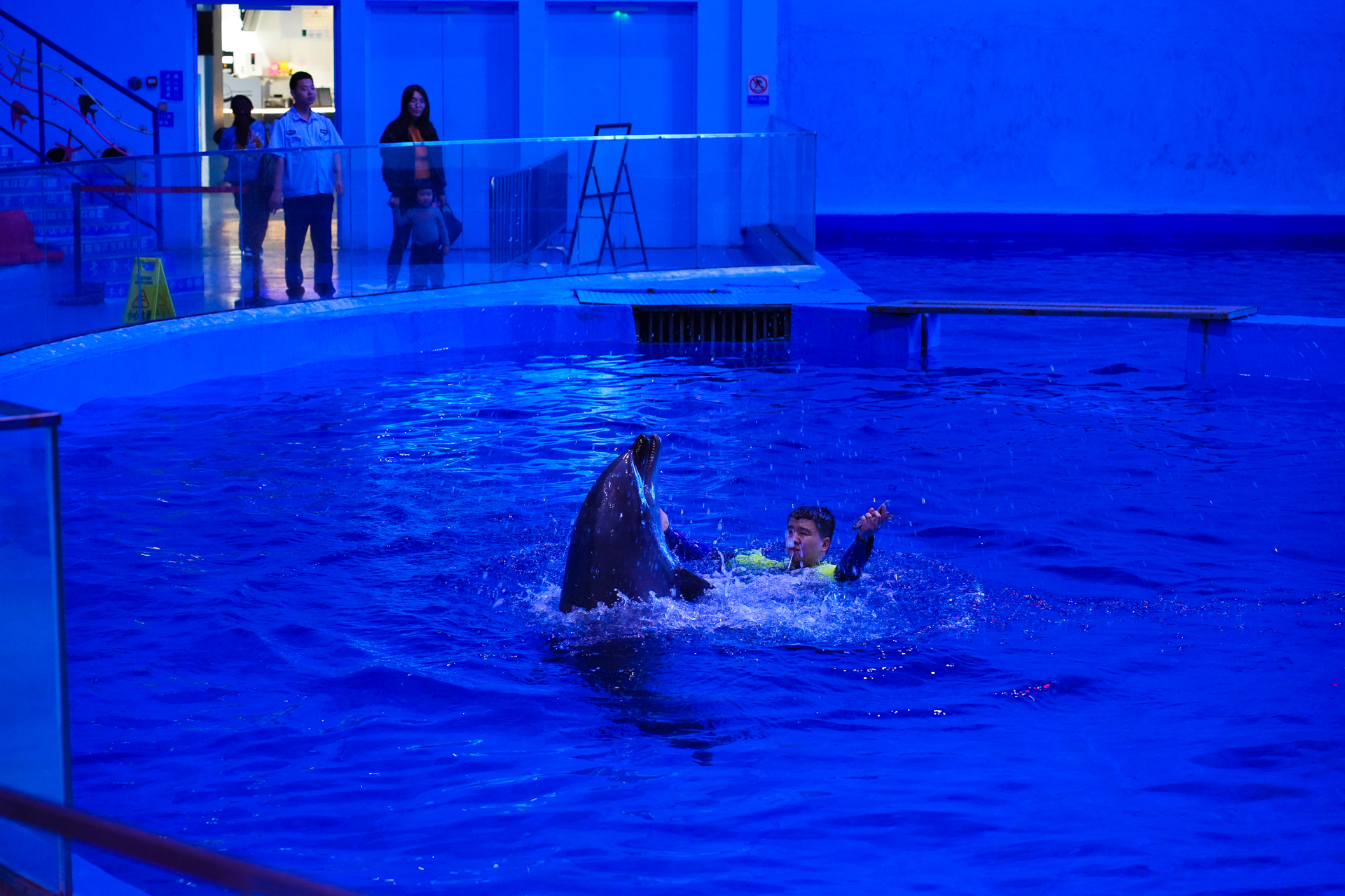 温州瓯海美食一条街,温州乐园刺激惊险