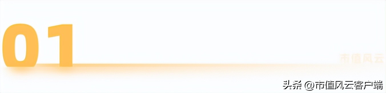 a股第一家退市的上市公司,a股第一科技大牛