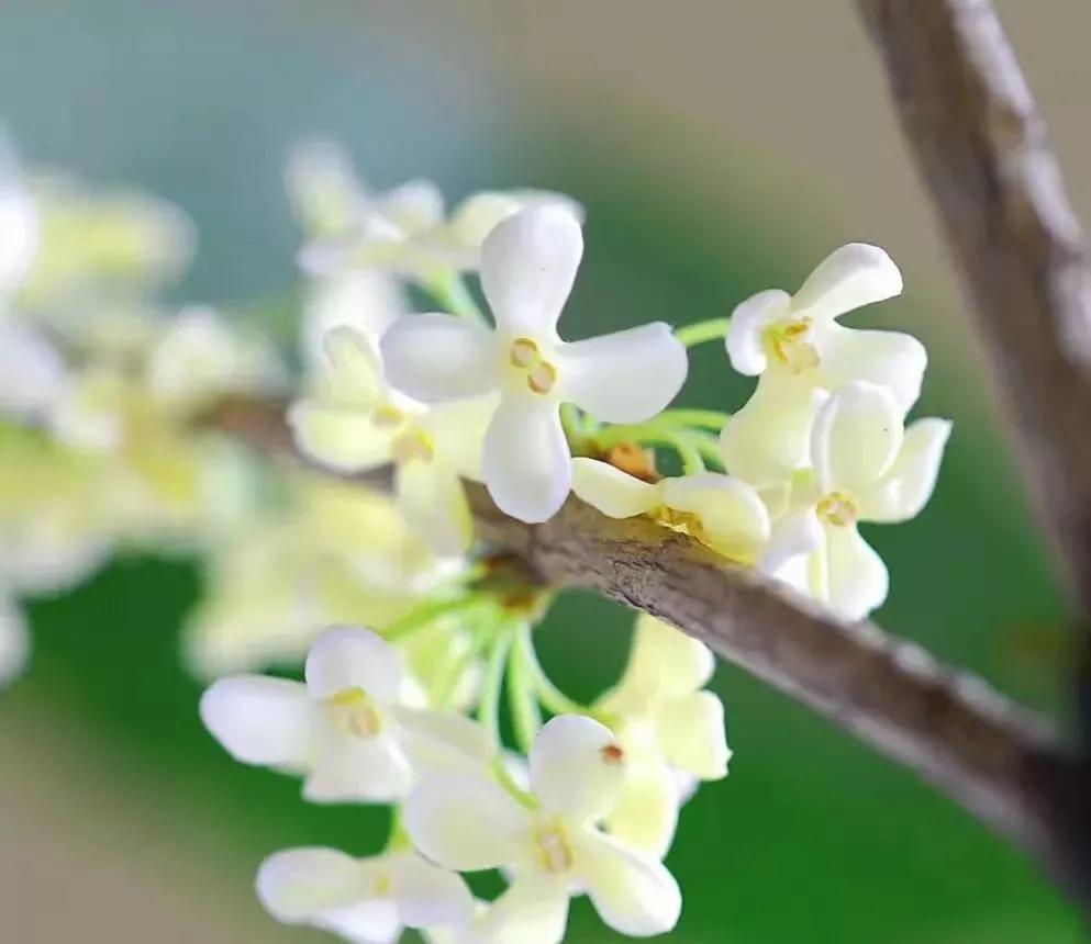 一念天堂一念地狱歌曲,一念天堂一念地狱全文阅读