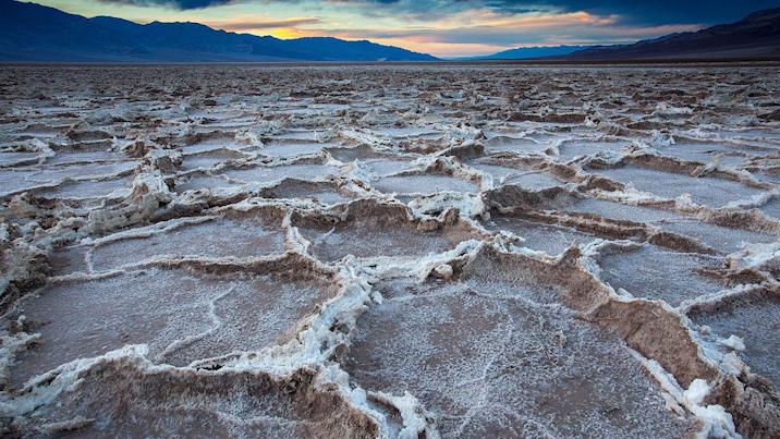 为什么草坪里面有很多水,不可思议的草坪水