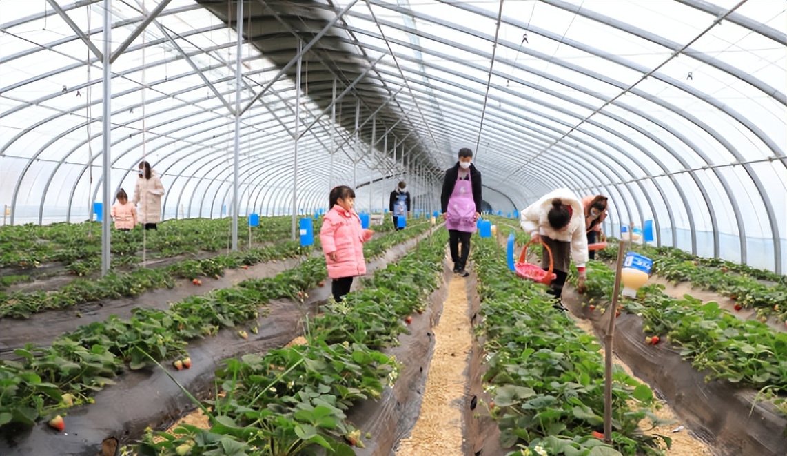 农村出身的学生出路在哪儿,农村人的出路到底在哪里