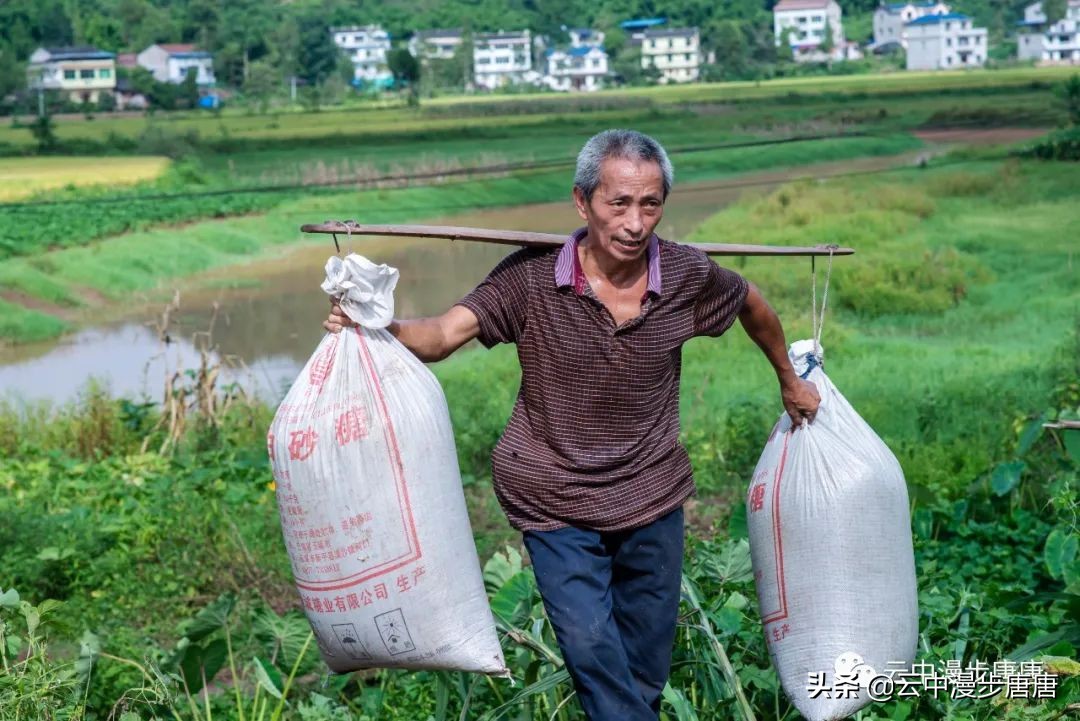 岳池旅游景点大全推荐,行走的美景