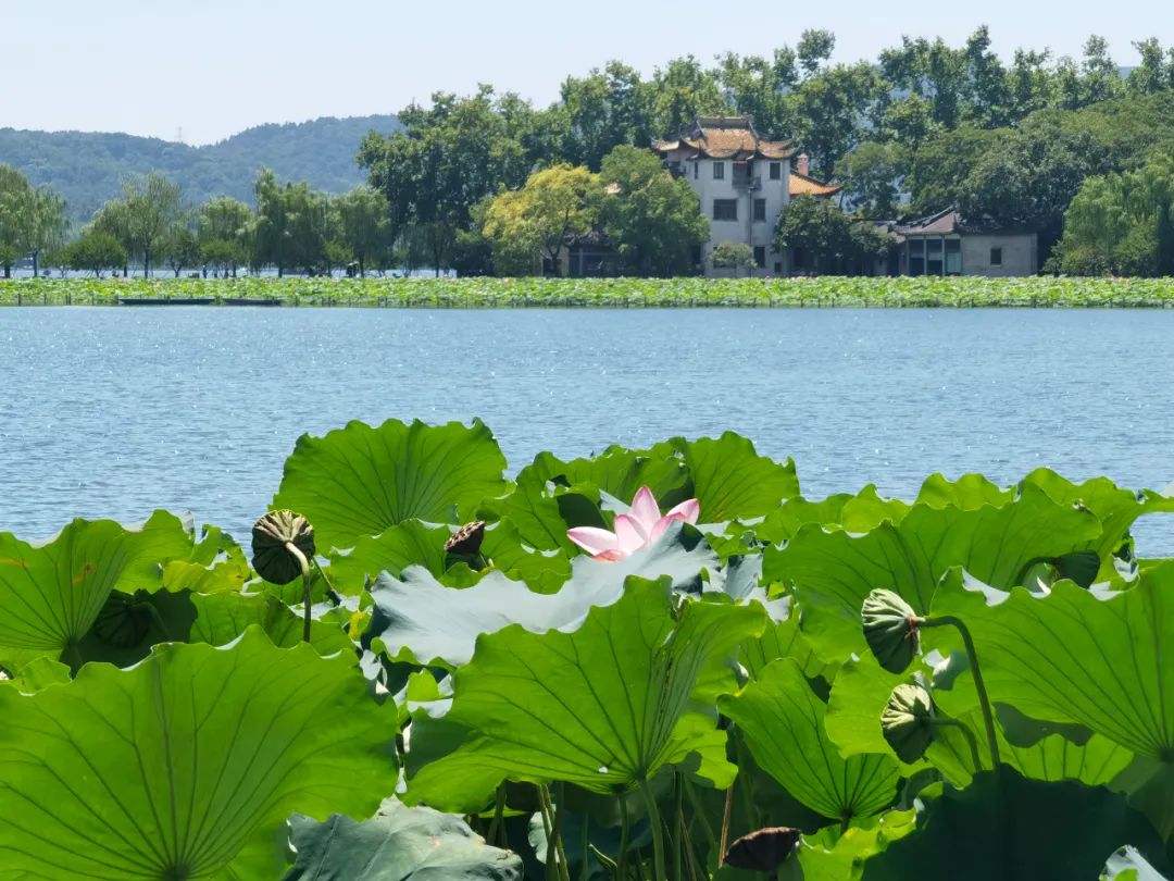 汉字解的写法,汉字解的演变