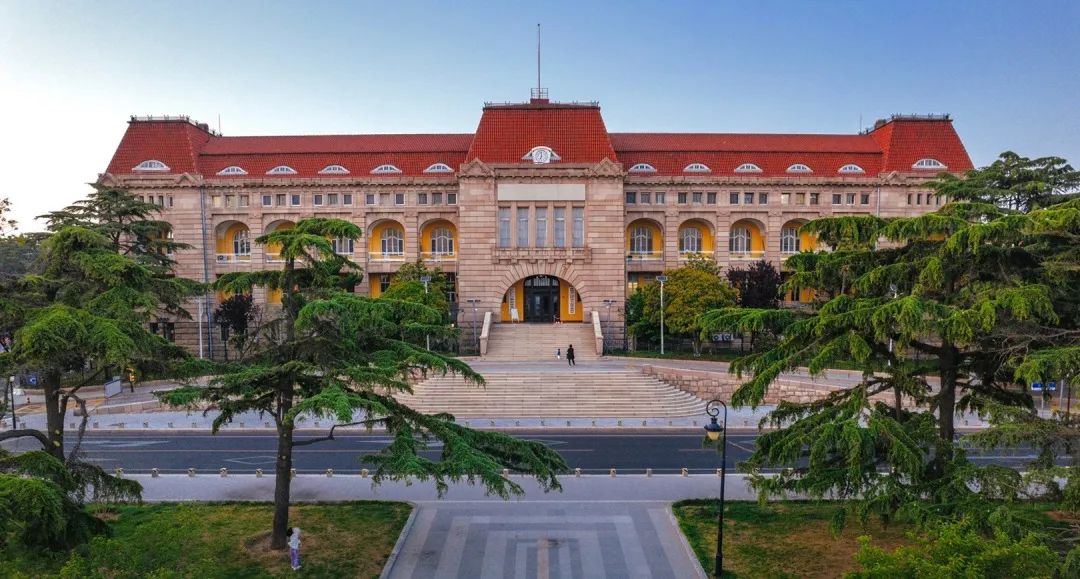 青岛绝美的一条路,青岛都是树的风景路